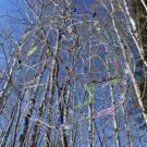 Cover for issue 'Artful Futures: Reflections on the Evolution of the Arts in Research' of the journal 'Art/Research International'