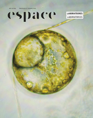 Cover of Laboratoires, Number 126, Fall 2020, pp. 2-107, Espace