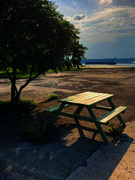 Cover of Décroissance, Number 141, Winter 2023, pp. 8-141, Inter