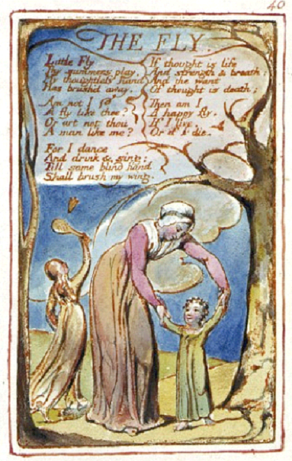 epub Cell