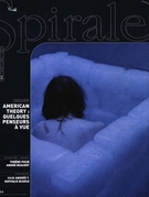 Couverture de <em>American Theory</em> : quelques penseurs à vue, Numéro 213, mars–avril 2007, p. 2-56, Spirale